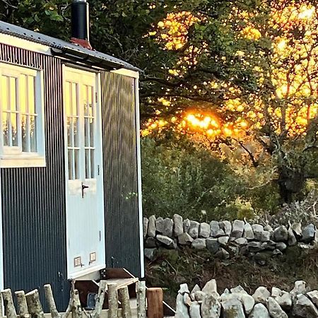 The Hazel Hut Villa Westport Luaran gambar