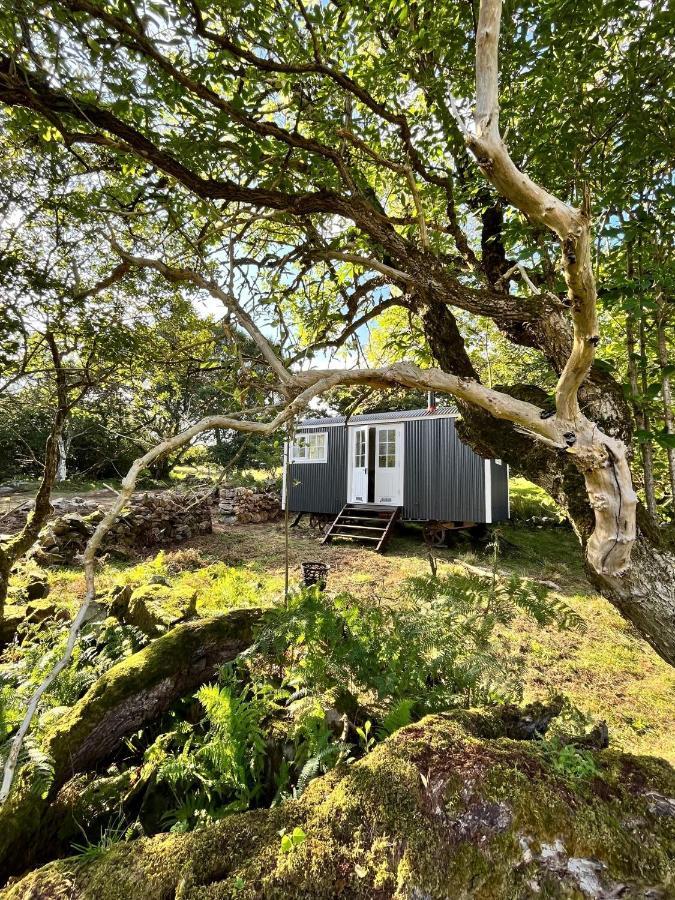 The Hazel Hut Villa Westport Luaran gambar