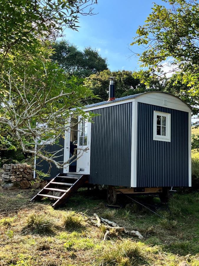 The Hazel Hut Villa Westport Luaran gambar